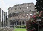 IMG 0384