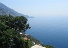 IMG 0598