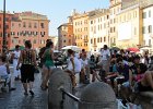 IMG 0827