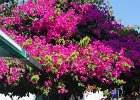 DSC01513