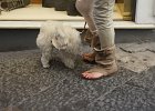 DSC01810